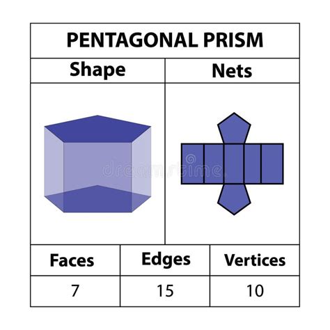 faces of pentagonal prism|nets of a pentagonal prism.